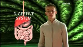 Cell Tissue Organ System Organism  BBC Curriculum Bites [upl. by Lyndy19]