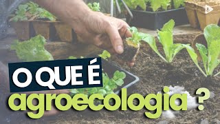 O QUE É AGROECOLOGIA [upl. by Star]