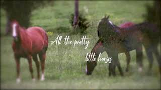 All The Pretty Little Horses  Lyric Video [upl. by Sardse309]