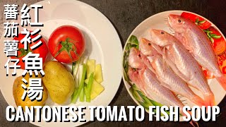 無骨魚湯秘訣！鮮味十足！Tomato fish soup in Hong Kongstyle 蕃茄薯仔紅衫魚湯 【Full Recipe BELOW】附中英食譜 [upl. by Anerbas]