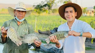 Engorda de Mojarra Tilapia  Sistema abierto  Oxigenación de manera natural  Granjas acuícolas [upl. by Ahsikam]