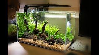 NonCo2 Aquascape Setup  Waterbox Clear 10 [upl. by Haelem61]