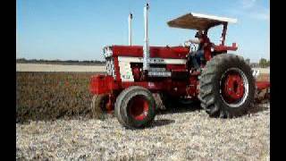 IH 1566 BS 1468 1466 1066 plowing [upl. by Cora]