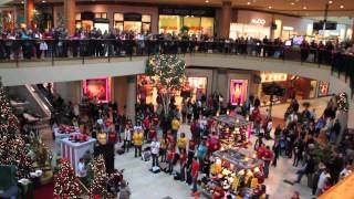 Flash Mob the best of Christmas 2011  Flash Mob Best Of [upl. by Bibeau373]