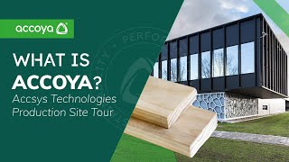 What is Accoya Sustainable Wood  Accsys Technologies Site Tour [upl. by Ellenrahc]