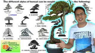 The different Styles of Bonsai Explained Beginners Guide [upl. by Alyahs]