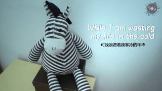 Pinto Pinto English cover of Chinese song 斑马斑马 [upl. by Susana]