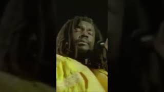 Equal Rights  Peter Tosh [upl. by Ritz]