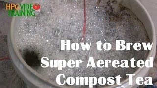 How to Brew Super Aerated Compost tea [upl. by Eiznyl]