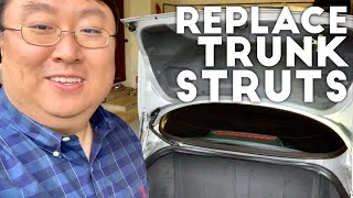 How to Replace Trunk Struts [upl. by Brade]