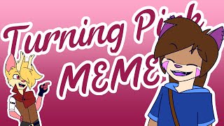 Turning Pink  Animation Meme [upl. by Naamann]