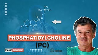 Phosphatidylcholine [upl. by Fihsak569]