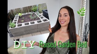 DIY RAISED GARDEN BED SUPER INEXPENSIVE [upl. by Edana80]