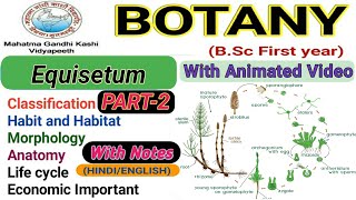 Equisetum life cycleReproductionEconomic Importance of EquisetumPart2 [upl. by Dlorej]