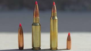 65 Grendel vs 556223 Remington Comparison amp Analysis [upl. by Ahseenal156]