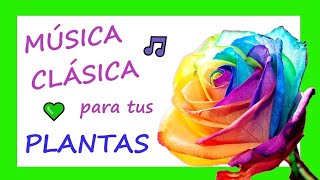 💚MÚSICA CLÁSICA para CURAR PLANTAS🎵 [upl. by Adlin]