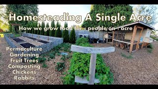 Our 1 Acre Homestead  How We Micro Farm [upl. by Arimas]