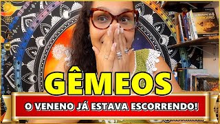 GÊMEOS ♊️ O RECADO É URGENTE E IMPORTANTE🌻 ➕️ 5 DICAS QUE FARÃO DE 2025 O MELHOR ANO DA SUA VIDA [upl. by Anavlis]