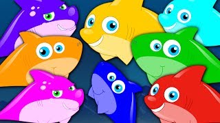 Learn Colors  Shark Colors Song  Learning Videos For Children  Cartoons For Babies by Kids Tv [upl. by Atinaj]