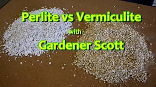 Perlite vs Vermiculite [upl. by Elmira]