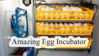 Egg Incubator Review and Operation [upl. by Ayot]