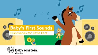 Babys First Sounds Discoveries for Little Ears  Baby Einstein [upl. by Hiroshi48]