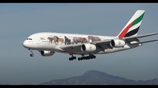 3 HRs Watching Airplanes Aircraft Identification  Plane Spotting Los Angeles International Airport [upl. by Libb]