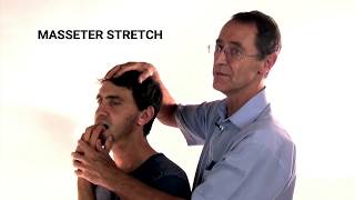 How to Stretch the Masseter Muscle  Trigger Point Therapy [upl. by Leryt387]