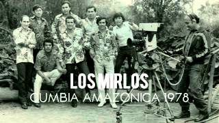 Los Mirlos  Cumbia Amazonica Vinyl 1978 [upl. by Eihpos]