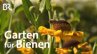 Garten für Bienen in Ellingen  Frankenschau  Reportage [upl. by Andromada]