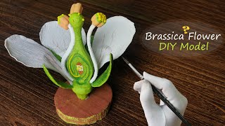 Making Brassica Flower Model  3D carving Art [upl. by Jesus]