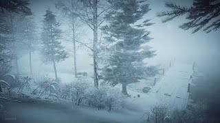 Intense Winter Storm at the Lake┇Howling Wind amp Blowing Snow ┇Sounds for Sleep Study amp Relaxation [upl. by Maryellen]