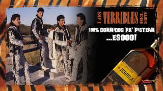 Los Terribles Del Norte  100 Corridos Pa PistearEso [upl. by Yaker]