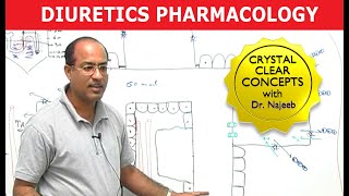 Diuretics  Pharmacology  Dr Najeeb [upl. by Petty]