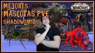 🐾 MEJORES MASCOTAS PvE para CAZADOR 🏹  World of Warcraft SHADOWLANDS [upl. by Gratiana]