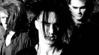 Skinny Puppy Assimilate [upl. by Brotherson]