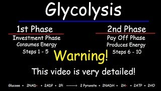 Glycolysis  Biochemistry [upl. by Yecaj]