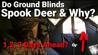 Ground Blind Hunting For Whitetail Deer [upl. by Doyle]