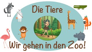 Die Tiere  Wir gehen in den Zoo  Deutsch lernen  German wild animals  Almanca Hayvanlar [upl. by Burnard631]