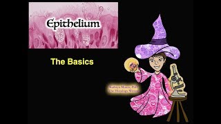 Epithelium The Basics [upl. by Nawrocki]