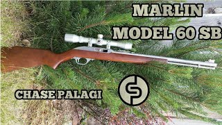 Marlin model 60 SB 22 Rifle Review [upl. by Airahcaz379]