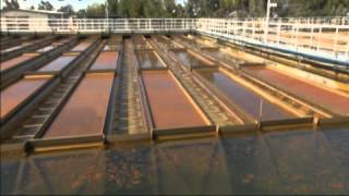 WSO Coagulation Flocculation amp Sedimentation DVD Preview [upl. by Latsyrd]