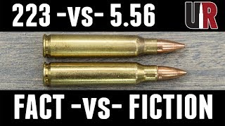 223 vs 556 FACTS and MYTHS [upl. by Hartnett]