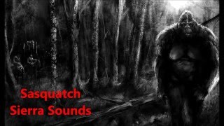 Sasquatch Sierra Sounds by Ron Morehead amp Al Berry in HD [upl. by Adnileb743]