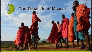 Maasai Mara Village and Tribe Life [upl. by Mary]