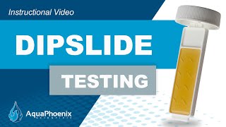 Dipslide Test [upl. by Naoh]