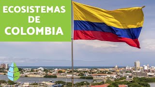 ¿Cuáles son los ECOSISTEMAS de COLOMBIA [upl. by Guerra]