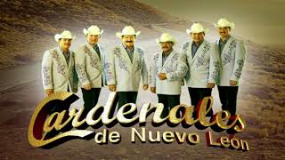 MIX LOS CARDENALES DE NUEVO LEÓN PUROS CORRIDOS [upl. by Amleht669]