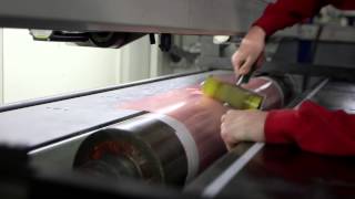 Esko Flexo plate making An introduction [upl. by Oilalue417]