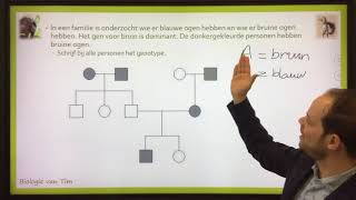 Biologie van Tim  Stambomen [upl. by Nicoli]